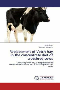 Replacement of Vetch hay in the concentrate diet of crossbred cows