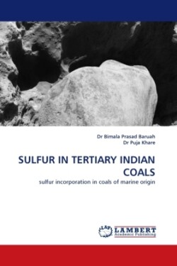Sulfur in Tertiary Indian Coals