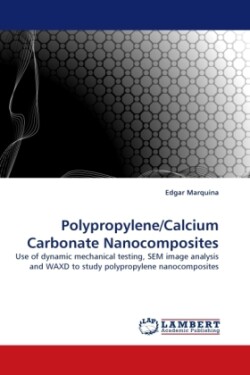 Polypropylene/Calcium Carbonate Nanocomposites