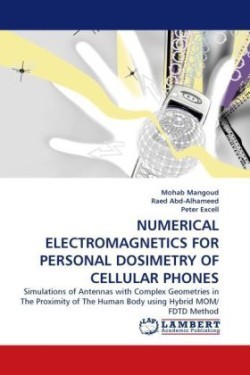 Numerical Electromagnetics for Personal Dosimetry of Cellular Phones