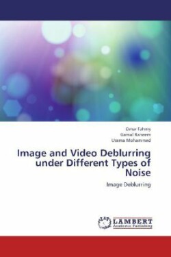 Image and Video Deblurring Under Different Types of Noise