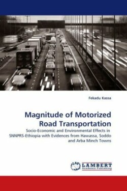 Magnitude of Motorized Road Transportation