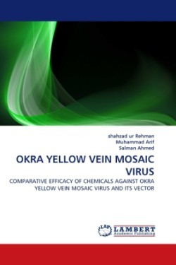 OKRA YELLOW VEIN MOSAIC VIRUS