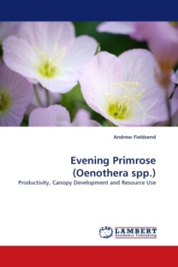 Evening Primrose (Oenothera Spp.)