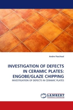 Investigation of Defects in Ceramic Plates