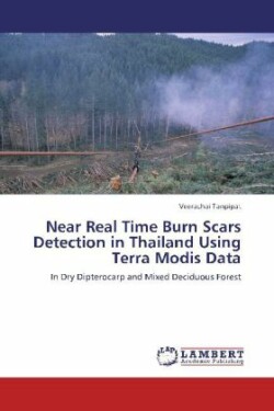 Near Real Time Burn Scars Detection in Thailand Using Terra Modis Data