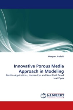 Innovative Porous Media Approach in Modeling