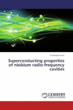 Superconducting Properties of Niobium Radio-Frequency Cavities