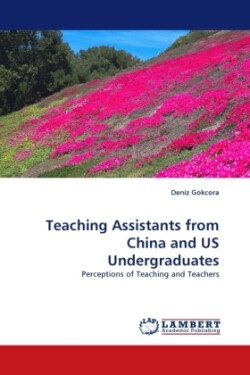 Teaching Assistants from China and Us Undergraduates
