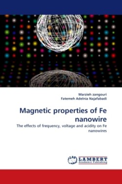 Magnetic Properties of Fe Nanowire