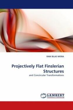 Projectively Flat Finslerian Structures