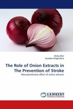 Role of Onion Extracts in the Prevention of Stroke