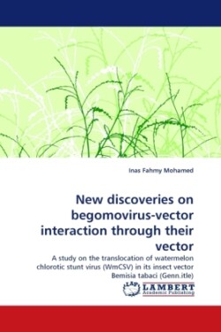 New Discoveries on Begomovirus-Vector Interaction Through Their Vector