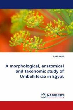 Morphological, Anatomical and Taxonomic Study of Umbelliferae in Egypt