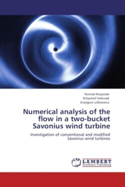 Numerical analysis of the flow in a two-bucket Savonius wind turbine