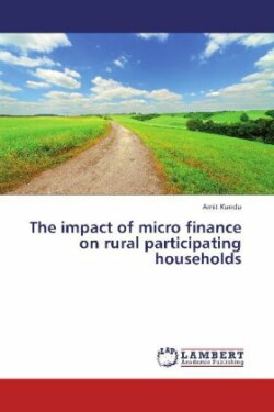 Impact of Micro Finance on Rural Participating Households