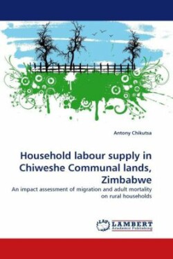 Household Labour Supply in Chiweshe Communal Lands, Zimbabwe