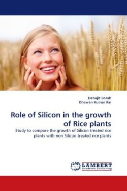 Role of Silicon in the growth of Rice plants