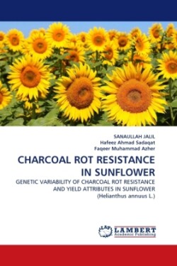 Charcoal Rot Resistance in Sunflower