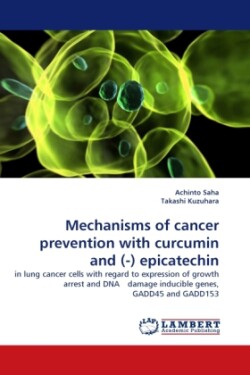 Mechanisms of Cancer Prevention with Curcumin and (-) Epicatechin