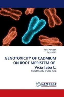 GENOTOXICITY OF CADMIUM ON ROOT MERISTEM OF Vicia faba L.