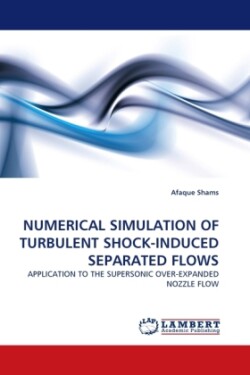 Numerical Simulation of Turbulent Shock-Induced Separated Flows
