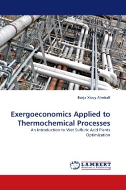Exergoeconomics Applied to Thermochemical Processes