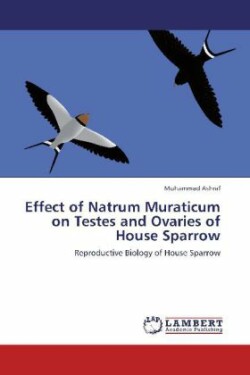 Effect of Natrum Muraticum on Testes and Ovaries of House Sparrow