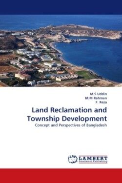 Land Reclamation and Township Development