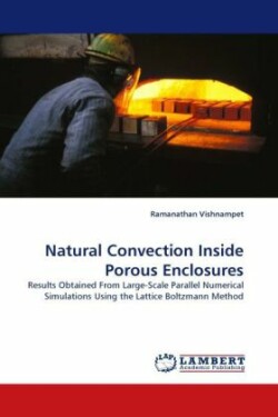 Natural Convection Inside Porous Enclosures