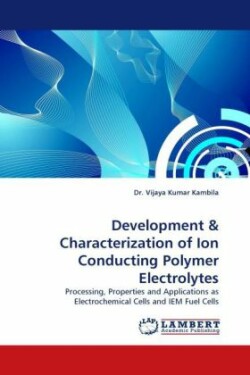 Development & Characterization of Ion Conducting Polymer Electrolytes