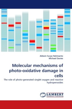 Molecular mechanisms of photo-oxidative damage in cells