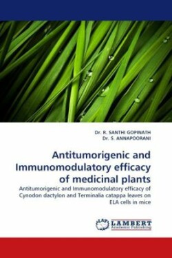 Antitumorigenic and Immunomodulatory Efficacy of Medicinal Plants