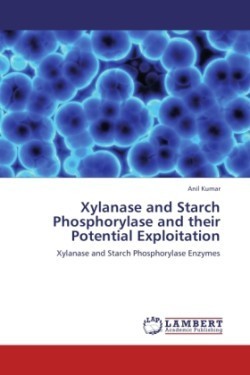 Xylanase and Starch Phosphorylase and their Potential Exploitation