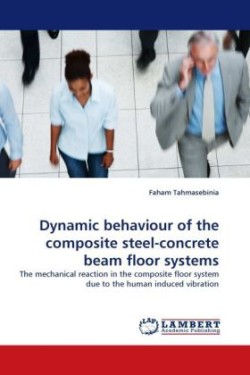 Dynamic Behaviour of the Composite Steel-Concrete Beam Floor Systems