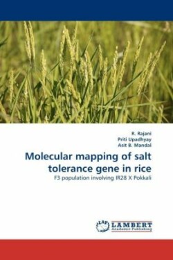 Molecular Mapping of Salt Tolerance Gene in Rice