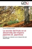 acción del fruto en el desarrollo del níspero japonés (E. japonica)