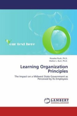 Learning Organization Principles