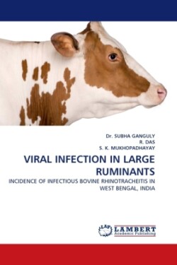 Viral Infection in Large Ruminants