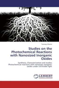 Studies on the Photochemical Reactions with Nanosized Inorganic Oxides