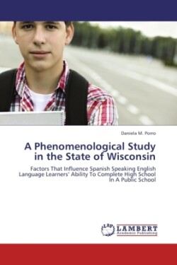 Phenomenological Study in the State of Wisconsin