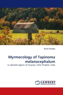 Myrmecology of Tapinoma melanocephalum