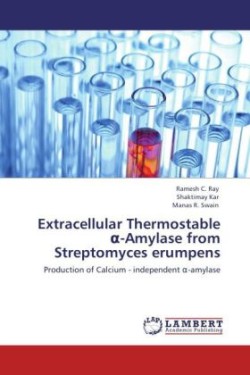 Extracellular Thermostable α-Amylase from Streptomyces erumpens
