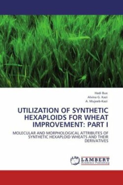 Utilization of Synthetic Hexaploids for Wheat Improvement