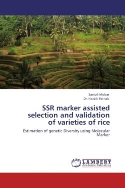 Ssr Marker Assisted Selection and Validation of Varieties of Rice