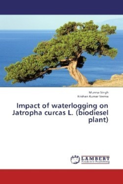 Impact of waterlogging on Jatropha curcas L. (biodiesel plant)