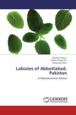 Labiates of Abbottabad, Pakistan