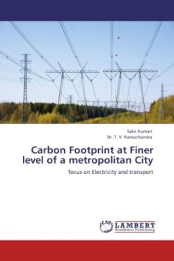 Carbon Footprint at Finer Level of a Metropolitan City