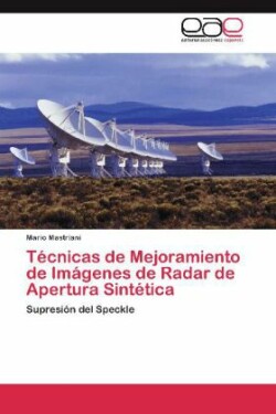 Técnicas de Mejoramiento de Imágenes de Radar de Apertura Sintética