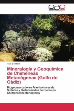 Mineralogía y Geoquímica de Chimeneas Metanógenas (Golfo de Cádiz)